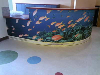 Tacoma, Gig Harbor, Seattle area wallcovering, wallpaper, and mural installation.